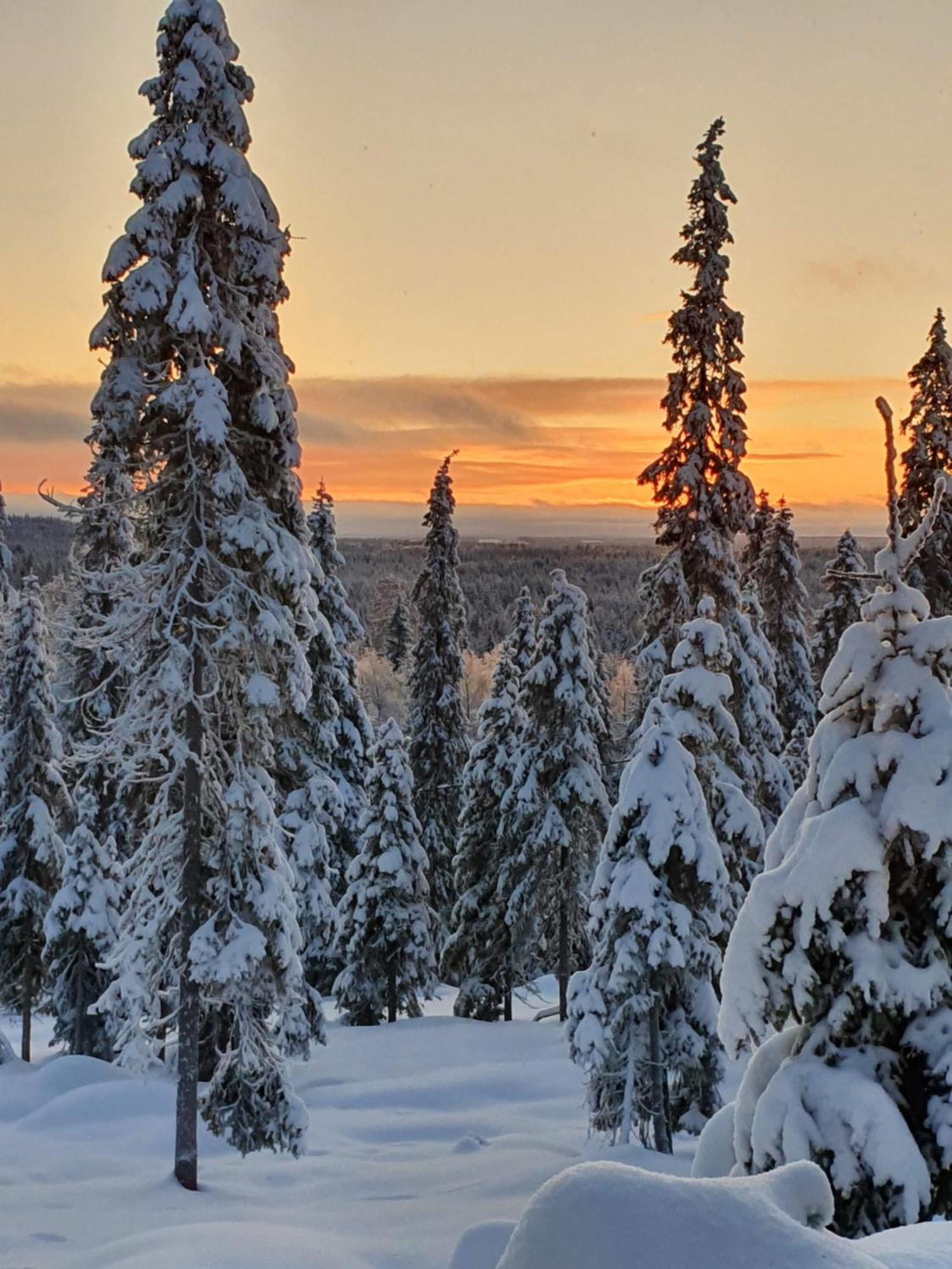 Hietavilla Borealis Ruka Dış mekan fotoğraf