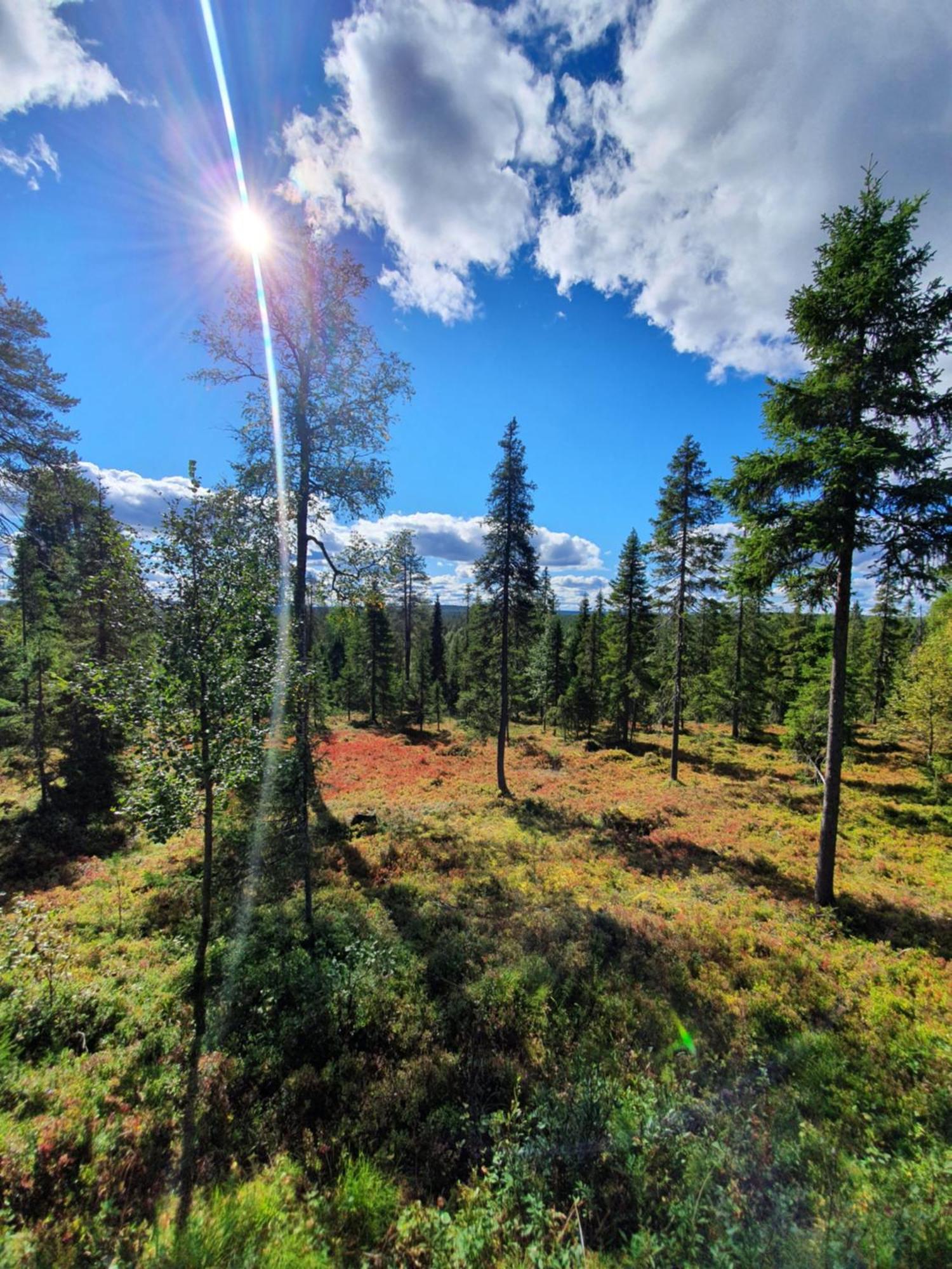 Hietavilla Borealis Ruka Dış mekan fotoğraf